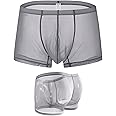ZONBAILON Mens Sexy Underwear See Through Silk Boxer Pouch Briefs Breathable Mesh Trunks Pack