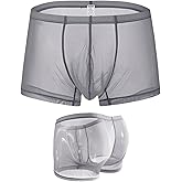ZONBAILON Mens Sexy Underwear See Through Silk Boxer Pouch Briefs Breathable Mesh Trunks Pack