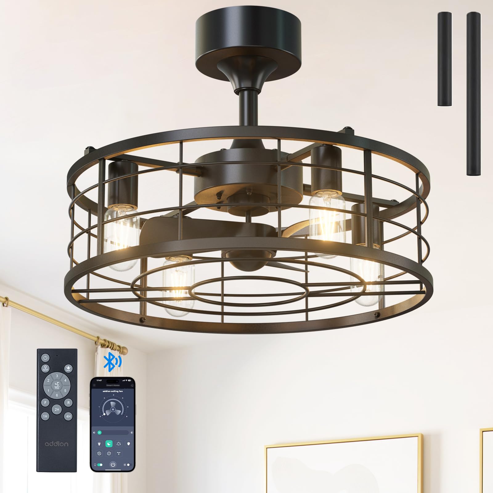 Photo 1 of addlon 20" Black Caged Ceiling Fan with Lights, Fandelier Fan with Remote, 6 Speeds & Timer, Farmhouse Downrod Mount Bladeless Ceiling Fan for Bedroom, Kitchen, Outdoor