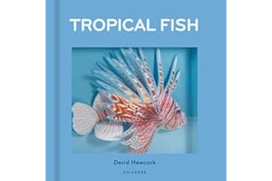 Tropical Fish: Pop-Up