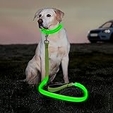 light up leash costco