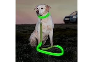 Illumifun LED Dog Leash, USB Rechargeable Pet Leash Glow in The Dark, 47.2inch Nylon Light Dog Leash for Your Dog Walking at Night (Green Ⅰ)
