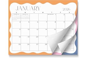 S&O Modern Wavy Magnetic Fridge Calendar from January 2026-June 2027 - Tear-Off Refrigerator Calendar to Track Events & Appoi