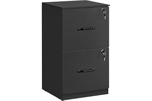 VASAGLE 2 Drawers File Cabinet with Lock, Printer Stand, Office Filing Cabinet Organizer, for A4 and Letter Size Documents, I
