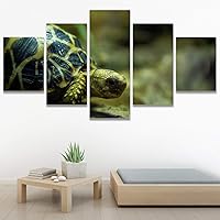 SIGNWIN 5 Panel Canvas Wall Art Modern Art Multicolor Nautical Photography Relax/Calm Reptiles Turtle for Home Decorations Ready to Hang - 60
