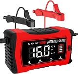 HTRC 16A Car Battery Charger 6V/12V/24V with 10-Stage LCD & Pulse Repair view 9