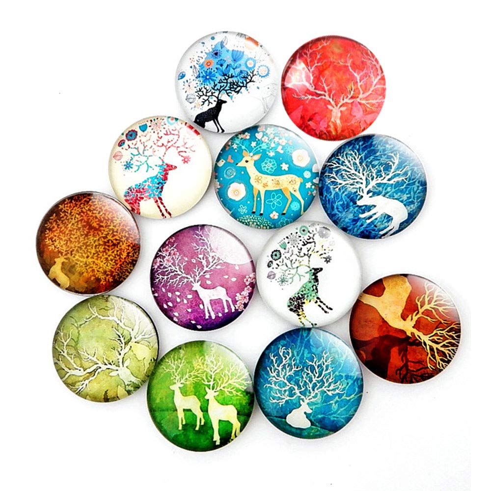 Best Elk Refrigerator Magnet