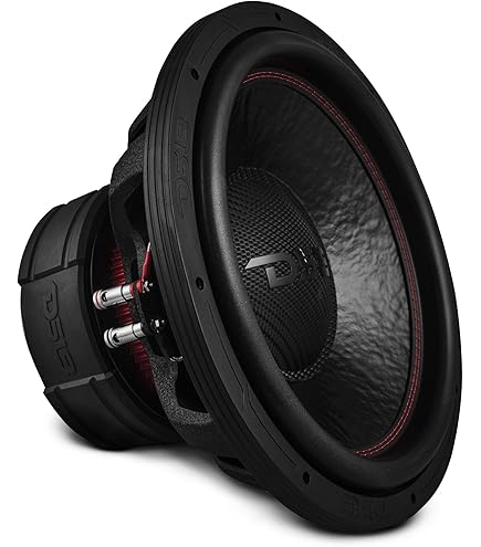 Amazon.com: DS18 EXL-XX15.4DHE 15” High Excursion Car Subwoofer