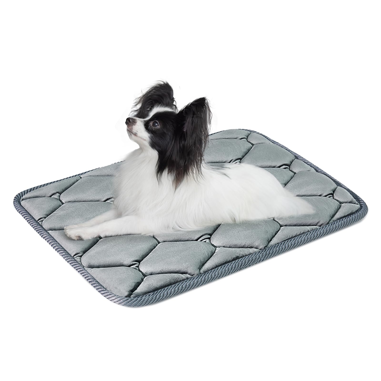 Geegoos Dog Crate Mattress,Washable Soft Kennel Pads,Pet Bed Blanket Dog Crate Mat Suitable for 30 inch Cage,Dog Bed Mats for Medium Pets and Cats(58x43cm,Grey)