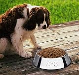 SUOXU Stainless Steel Dog Bowls with Non slip Base 1000 ml 35.2oz view 6