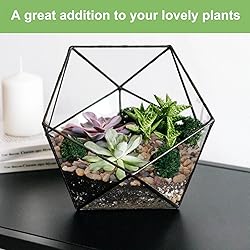 Pulovin 2.5 lbs Drainage Rocks for Potted