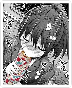 Sticker Vinyl Decal For Cars Water Bottle Fridge Laptop Lewd Anime Tea Stickers 3 Pcs Pack Amazon Co Uk Diy Tools