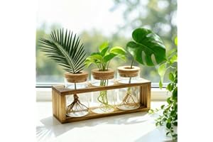 Pechaut Propagation Stations, Plant Terrarium for Indoor Hydroponic Decor, Glass planters for Fresh Cuttings, Unique Birthday Gifts for Women & Mom, Home/Office Decor