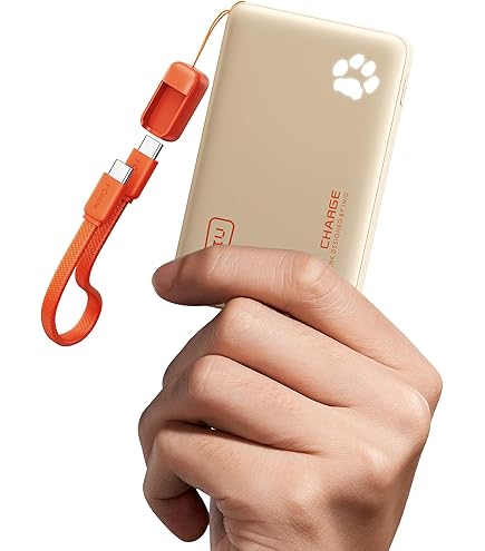 Amazon.com: TORRAS PowerGo 3-in-1 Portable Charger 10000mAh Power