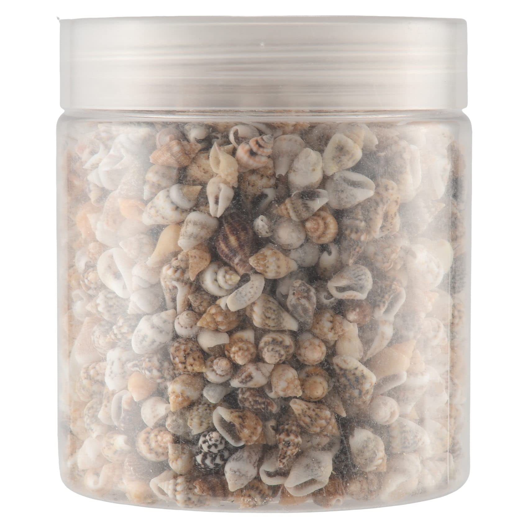 Tooteeru About 1300-1500 Tiny Sea Shell Ocean Beach Spiral Seashells Craft Charms 7-12mm for Candle Making,Home Decoration,Beach Theme Wedding Decor,Fish Tank and Vase Fille