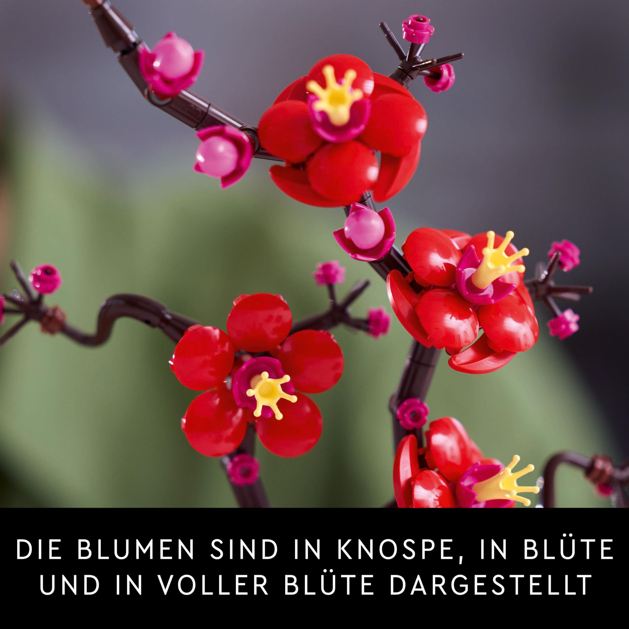 LEGO Botanicals Pflaumenblüte - Pflegeleichte Blumendeko aus der Botanik Kollektion - Kreatives Bauset für Erwachsene - Entspannende Aktivität - Künstliche Pflanze zum Sammeln 10369 4