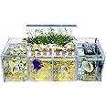 Acrylic Aquarium Transparent Fish Tank, Small Fish Tank with LED, Betta Fish Tank with 4 Grids, Dual Glass Desktop Mini DIY Aquarium, Multiple Betta Fish Tank for Table Furniture Decoration