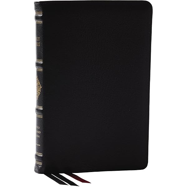 RSV Personal Size Bible with Cross References, Black Genuine