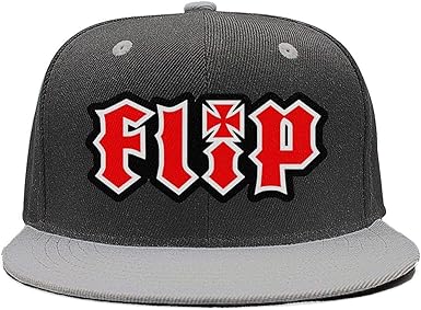 flip skateboards hat