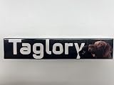 Taglory Reflective Nylon Dog Collar with Safety Buckle Red Size S view 7