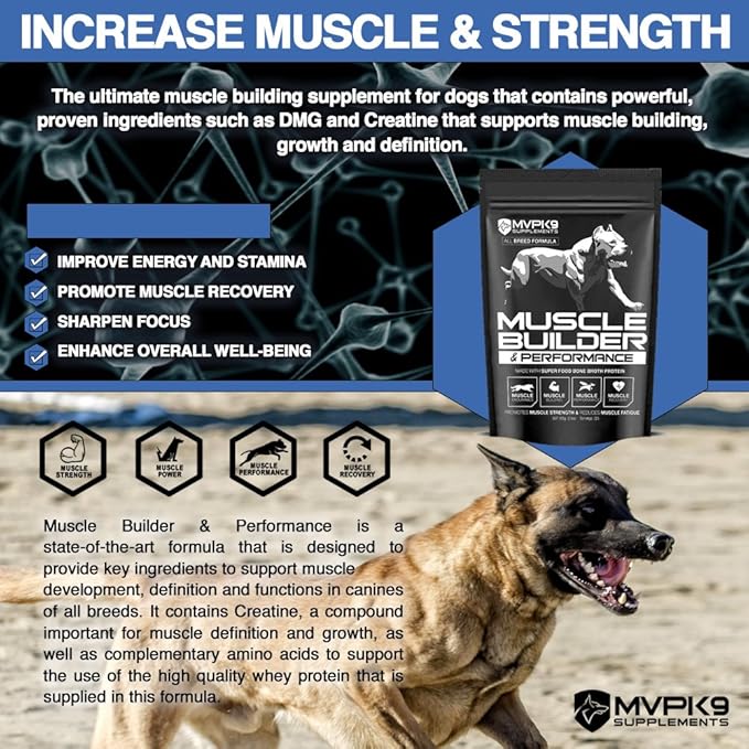 weight builder for dogs