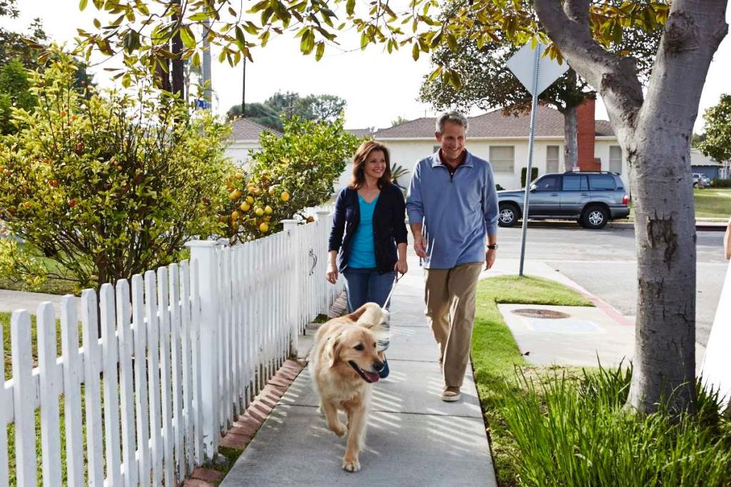 Amazon.com: Osteo Bi-Flex NutraJoint Plus Glucosamine Drink Mix ... Amazon.com: Osteo Bi-Flex NutraJoint Plus Glucosamine Drink Mix ...