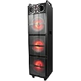 befree sound dual 12 inch subwoofer