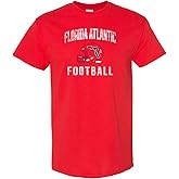NCAA Faded Football Helmet, Team Color T Shirt, College, University