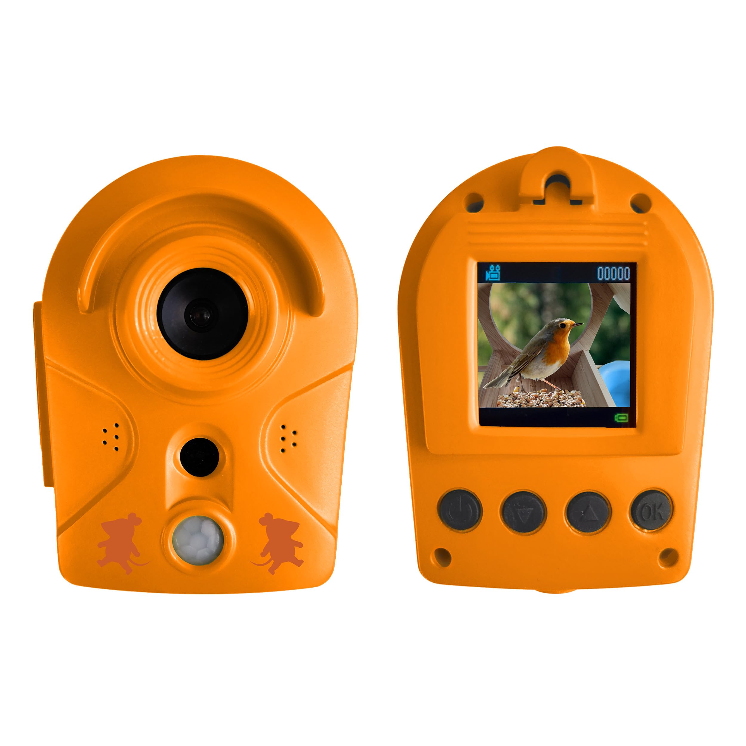 DieMaus Vogelhaus mit Kamera 3