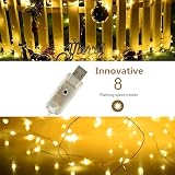 Makion Led Fairy Lights 10M 100 LED USB Warm White Copper Wire 8 Modes view 3