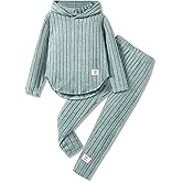 LKALPSQ Toddler Girl Fall Clothes Set Warm Sweatshirt Pants Long Sleeve Sweatsuits Winter Hooded Pullover Outfits