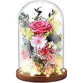 Laladeyek Eternal Rose Sweet Pink Flower Preserved Long Lasting Stable Color Natural Material Symbol of Everlasting Love for Wife Mothers Select Anniversary Rose Gift Birthday Present Christmas