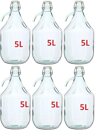 6x GLASBALLON GÄRBALLON GLASFLASCHE WEINBALLON BALLON 5L BÜGELVERSCHLUSS BDG5D