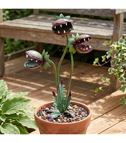 Amazon.com: KALALOU Set of Two Ceramic Ghost Plant Sticks : Patio