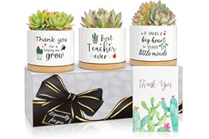 UAREHIBY Teacher Appreciation Gifts for Women Men in Bulk,End of Year Present from Student,Succulent Plant Pot Gifts for Teacher,Unique Thank You Teacher Gifts Idea(Not Include Plants)