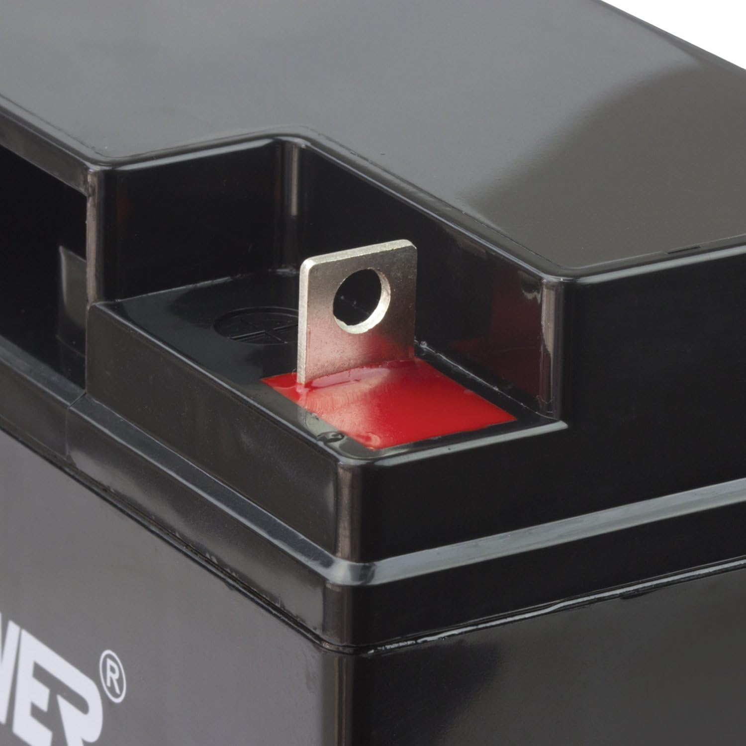 ExpertPower EXP12180 12V18AH Lead_Acid_Battery: Automotive