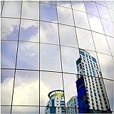 BDF S05 Window Film Daytime Privacy and Heat