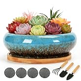 Succulent Pots With Drainage &amp; Tray,7" Succulent Planters For Decorative | Round Large Pots For Succulents, Glazed Ceramic Bonsai Pots,Shallow Planters For Succulents,Garden Decorative Cactus