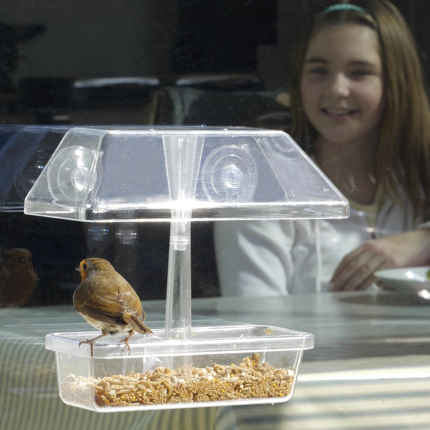Window Bird Feeder With Strong Suction Cups - Jacobi Jayne® UpClose™ Window Bird Seed Feeder For Small Birds. With Protective Roof To Shield Birds From Rain And Drainage Holes To Prevent Waterlogging