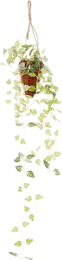 Amazon Co Jp 吊るして飾る インテリアグリーン 光触媒 加工 ポトス ハンギング ホーム キッチン