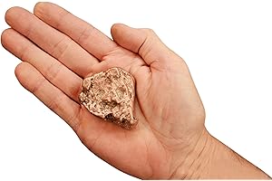 Rock Your Chakra Pure Copper Nugget 2 1/2" 4-6 Oz Native Copper Rocks and Minerals Root Chakra Healing Crystals and Stones Specimen Reiki