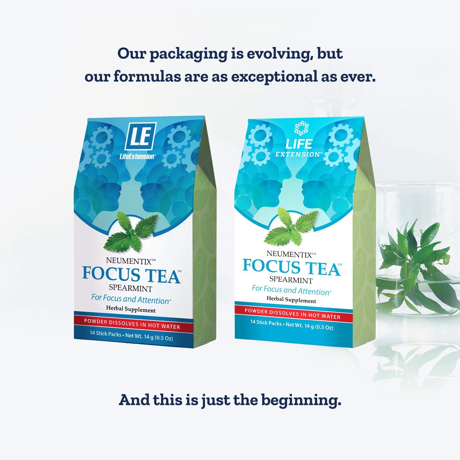 Life Extension Focus Tea 14 Stick Packs, 14 Gram: Health & Personal Care