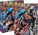 Aquarius DC Comics Superman Puzzle (1000 Piece)