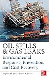 Oil Spills and Gas Leaks: Environmental