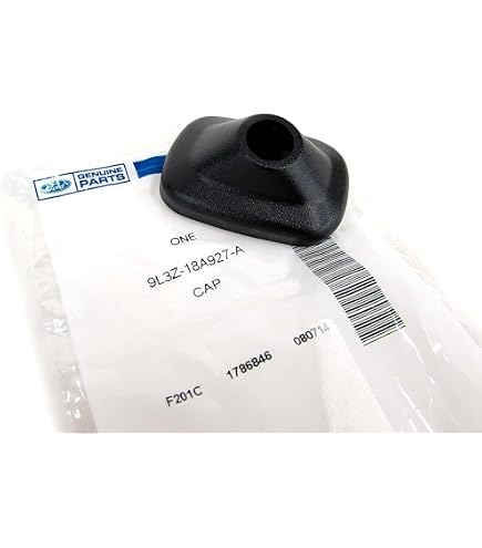Antena AM/FM Para Ford F150  2009-2025  - Mástil De Acero Con 326957
