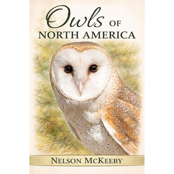 Owls of the World: Hume, Rob, Boyer, Trevor: 9781561380329: Amazon