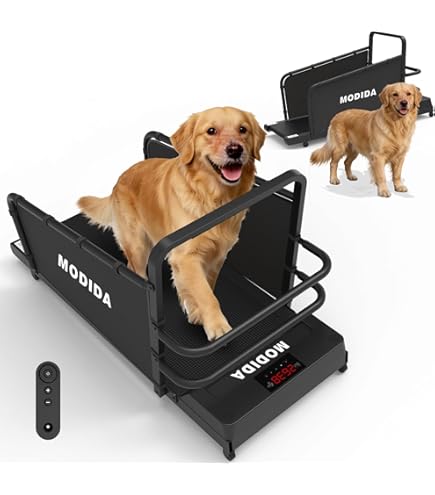 Dog Treadmill For Small & Medium Dogs - Pet Running Machine With Remote Control & LCD Display