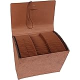 Amazon Basics Expanding File Organizer With Flap, Daily Tabs (1-31)