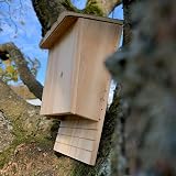 Selections Large Wooden Bat Roosting Nesting Box Habitat Shelter - Pack of 3 view 3
