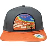 Sendero Provisions Co. "Howdy Dude" Snapback Hat In Brown – Branded